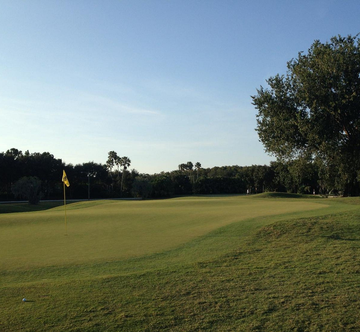 Lansbrook Golf Club (Palm Harbor) All You Need to Know BEFORE You Go