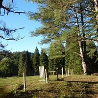 parc ibardin