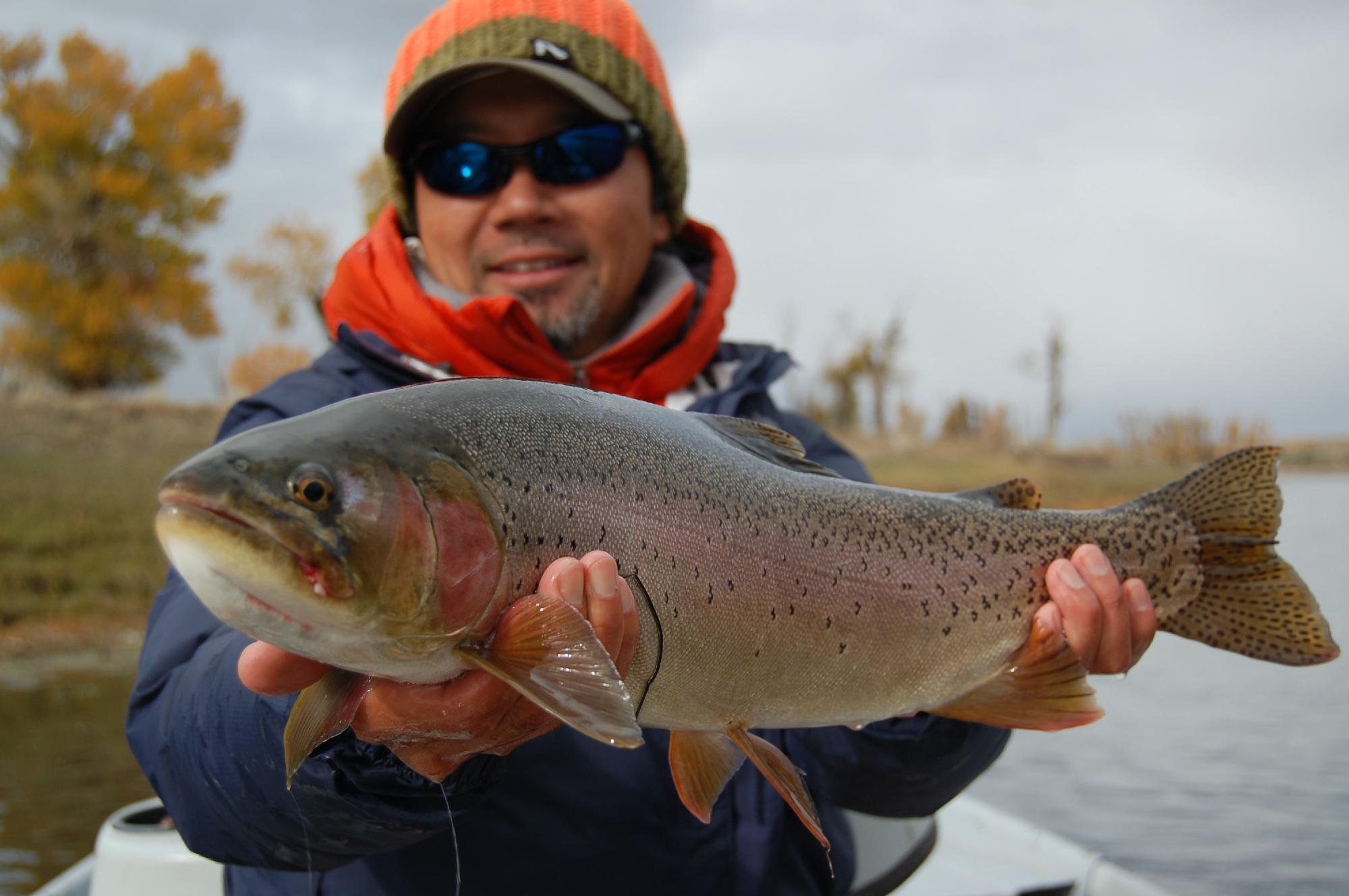 Provo River Guide Service - Private One Day Tours - 카마스 - Provo River Guide Service - Private One Day Tours의 리뷰... 