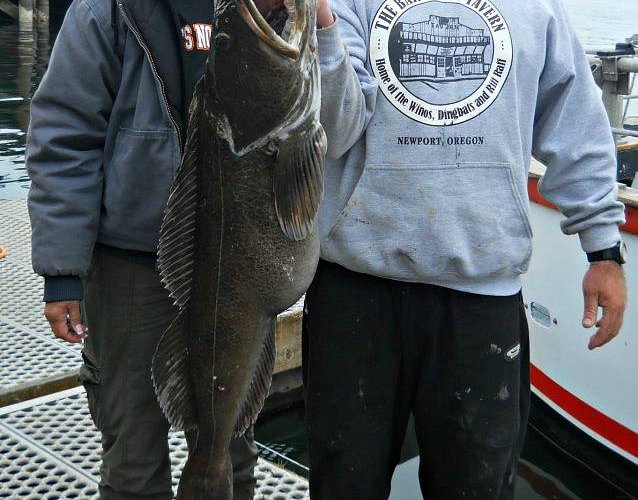 Reel Em Up Fishing - Astoria in Warrenton, Oregon: Captain Experiences
