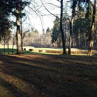 Słoneczna polana