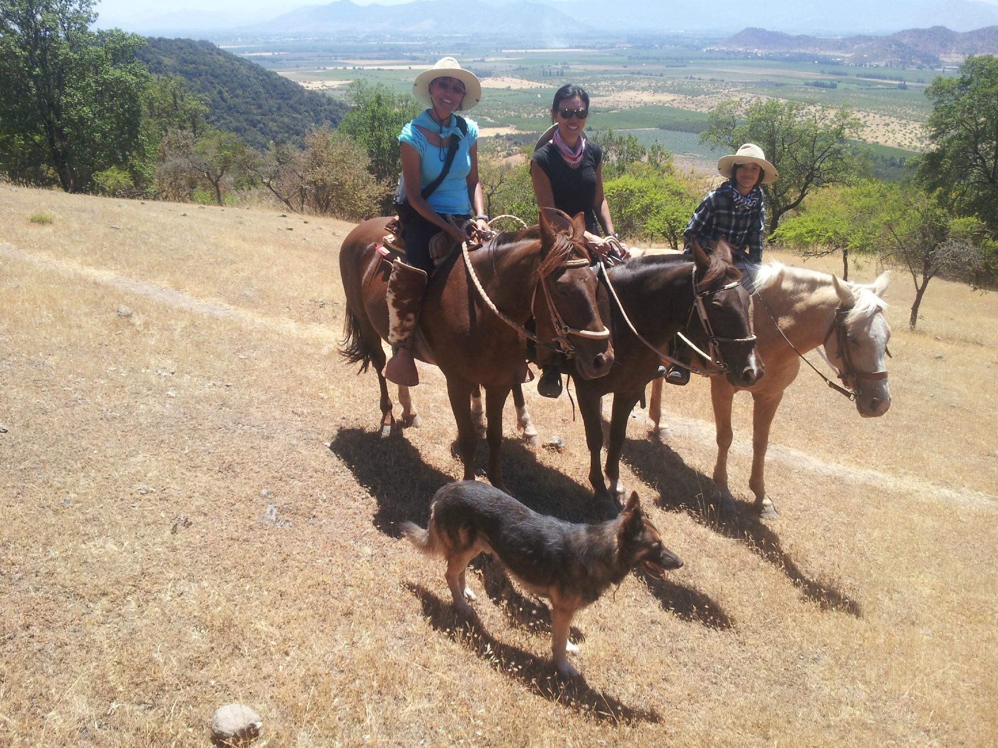 Horseback Rides Santa Cruz All You Need to Know BEFORE You Go