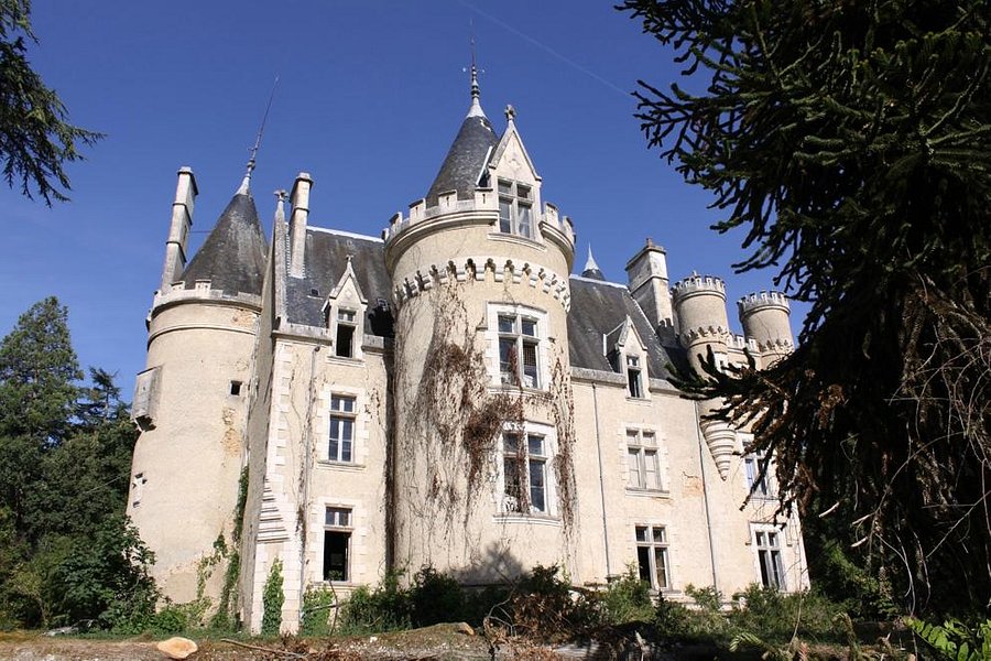 Chateau de Fougeret image