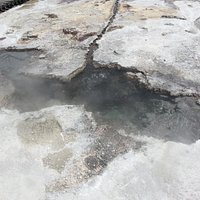 sulphur point at Queens drive lake Rotoura