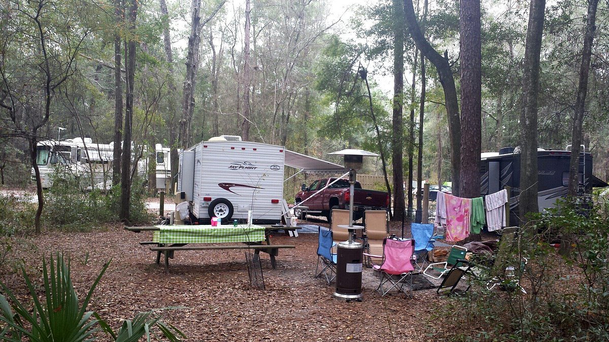 SUWANNEE RIVER STATE PARK - Campground Reviews (Live Oak, FL)