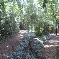 Parque Alfredo Volpi