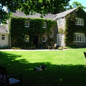 House and garden