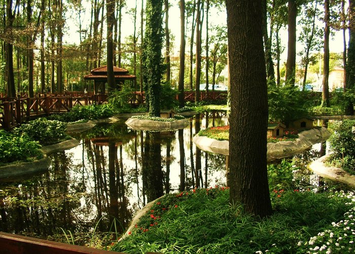 Sorgun