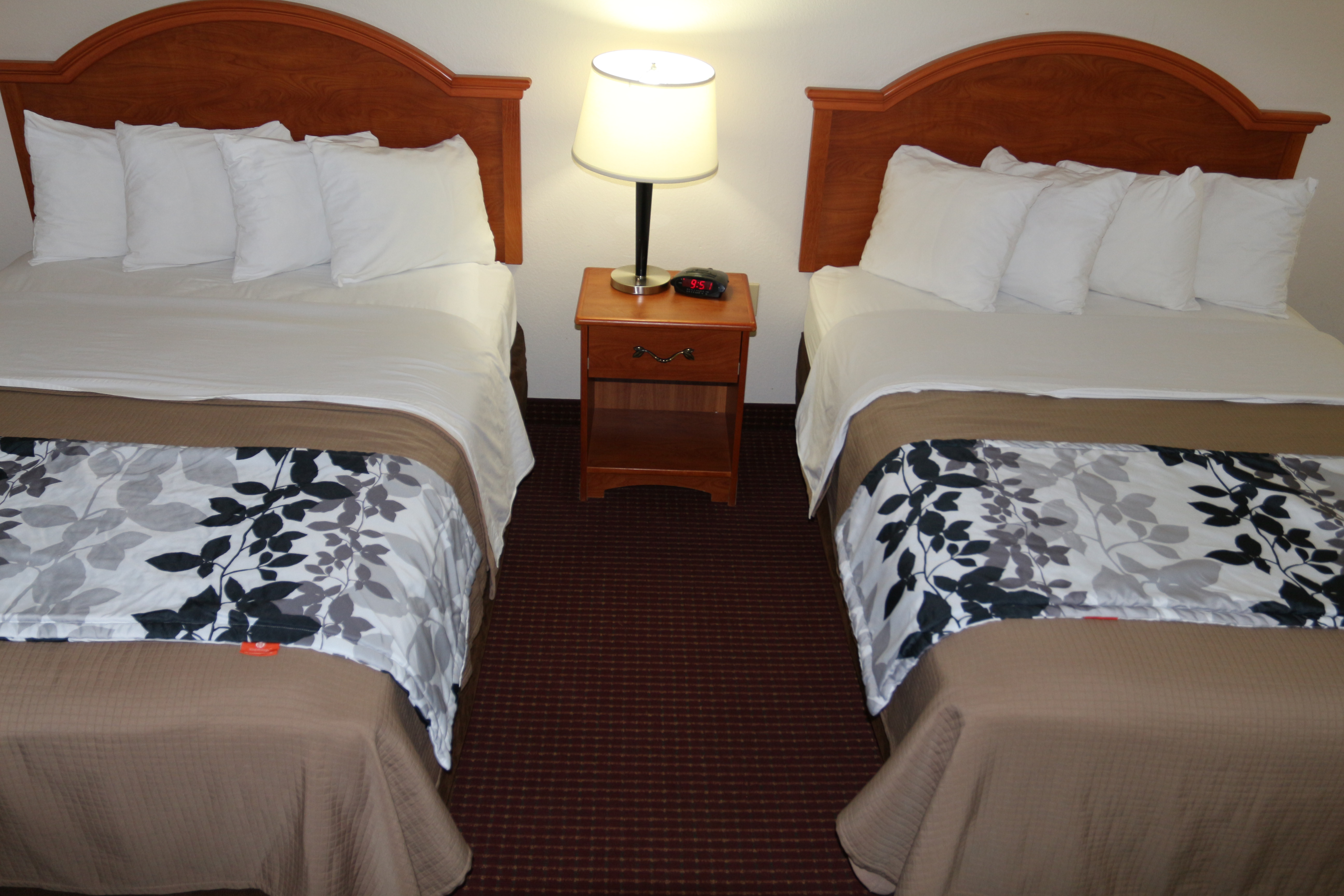 ECONO LODGE INN SUITES BEAUMONT Hotel Reviews TX