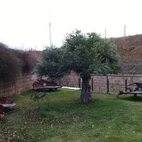 Outdoor area