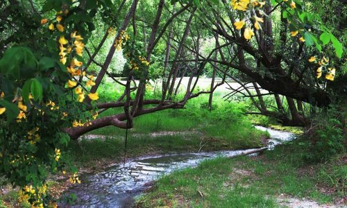Nice river
