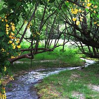 Nice river