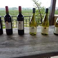Meridiana Wine Tasting