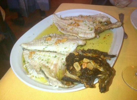 rodaballo