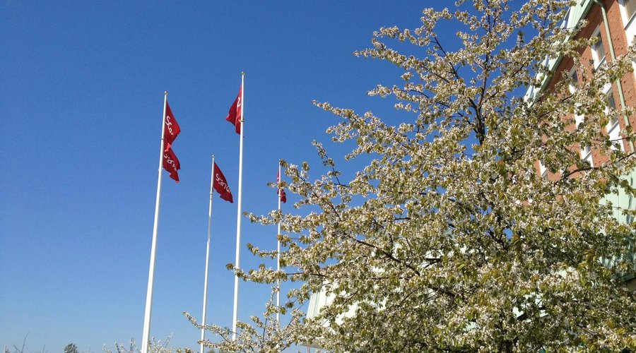 Springtime