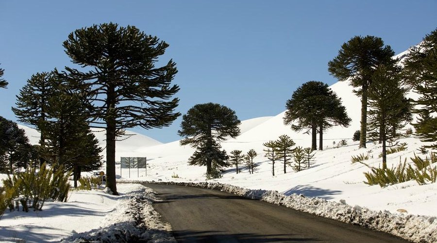 Paisaje Nevado