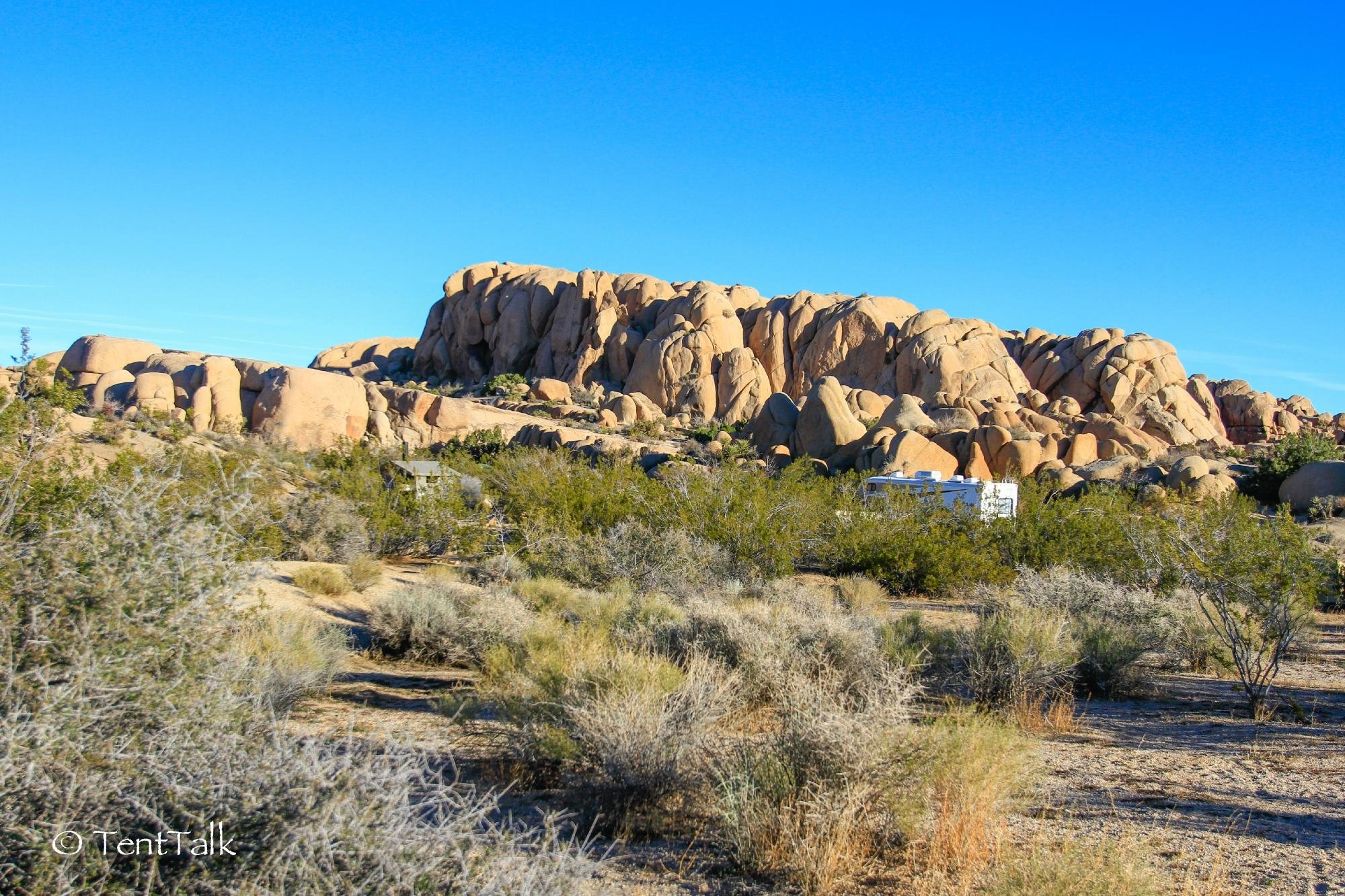 JUMBO ROCKS CAMPGROUND - Reviews (Joshua Tree National Park, CA)