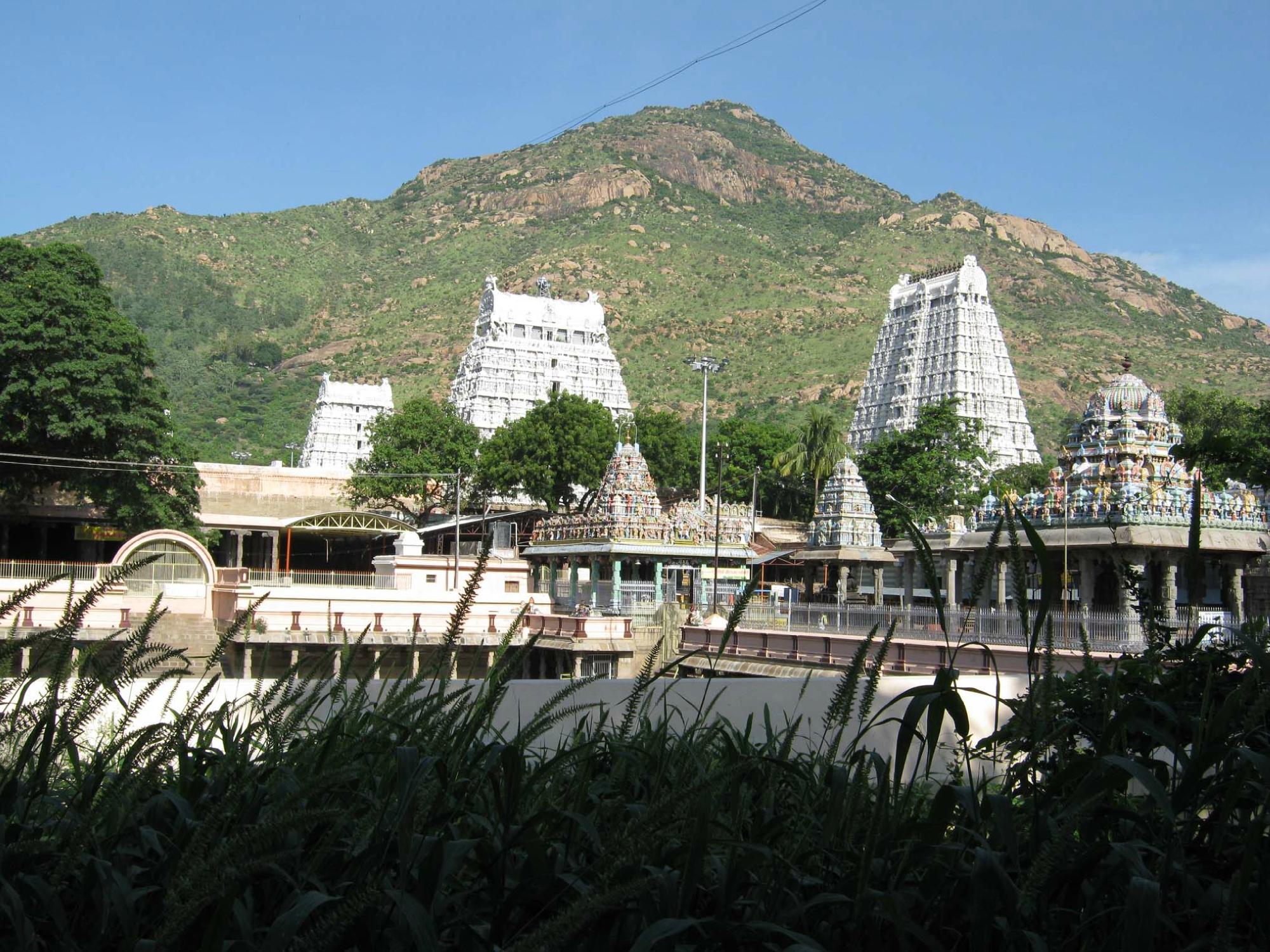 Hotel photo 67 of Sri Sarvesha JS Palace.