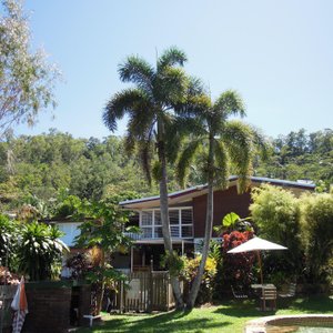 view from pool