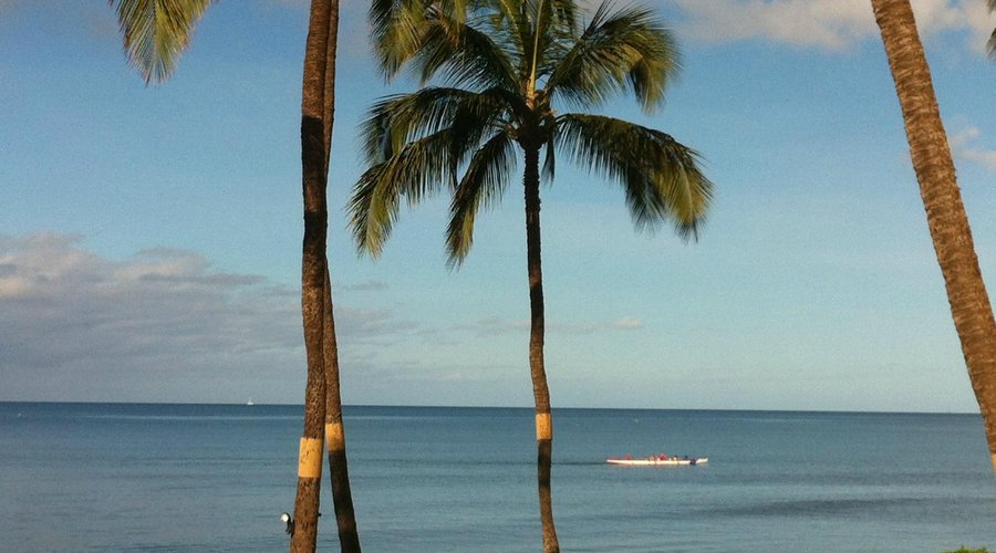 Another beautiful day in paradise