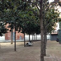 Trees by the tower