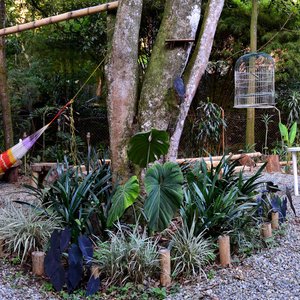 Bambu Glamping Ecolodge, hotel in Medellin