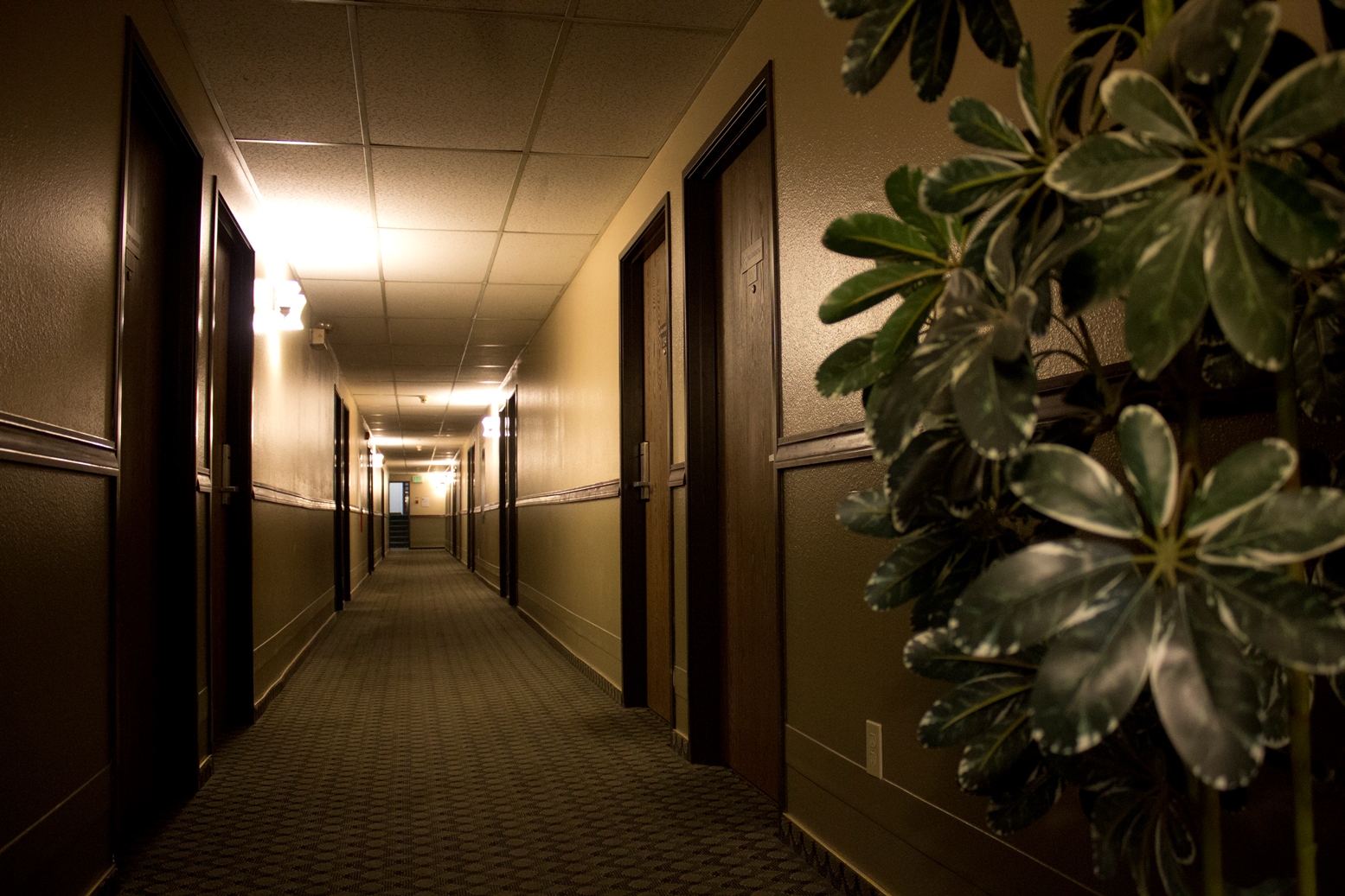 Hotel photo 7 of Super 8 by Wyndham Moscow.