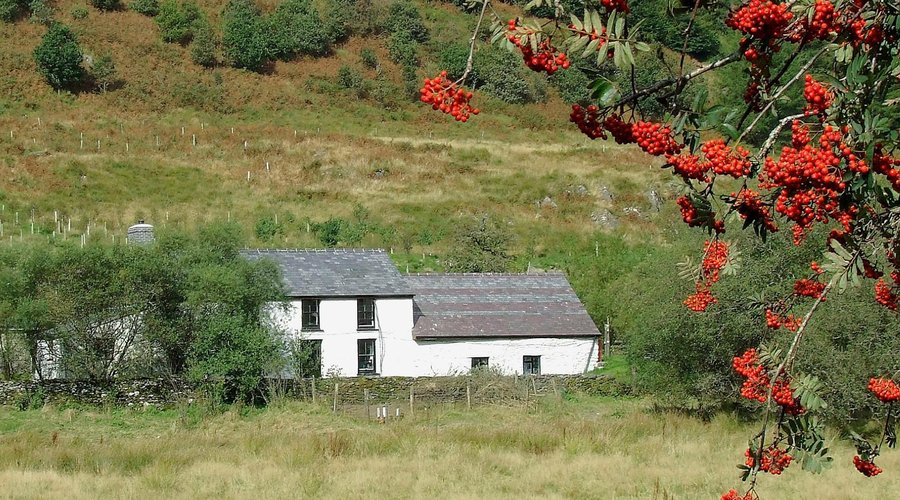 Late summer at Dolgoch Hostel.