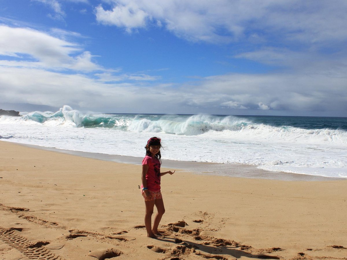 Koa Lani Private Tours Hawaii Kai All You Need To Know Before You Go 