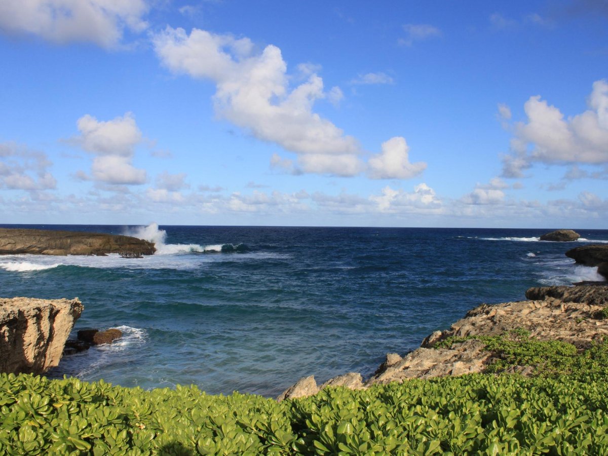 Koa Lani Private Tours (Hawaii Kai) - All You Need to Know BEFORE You Go