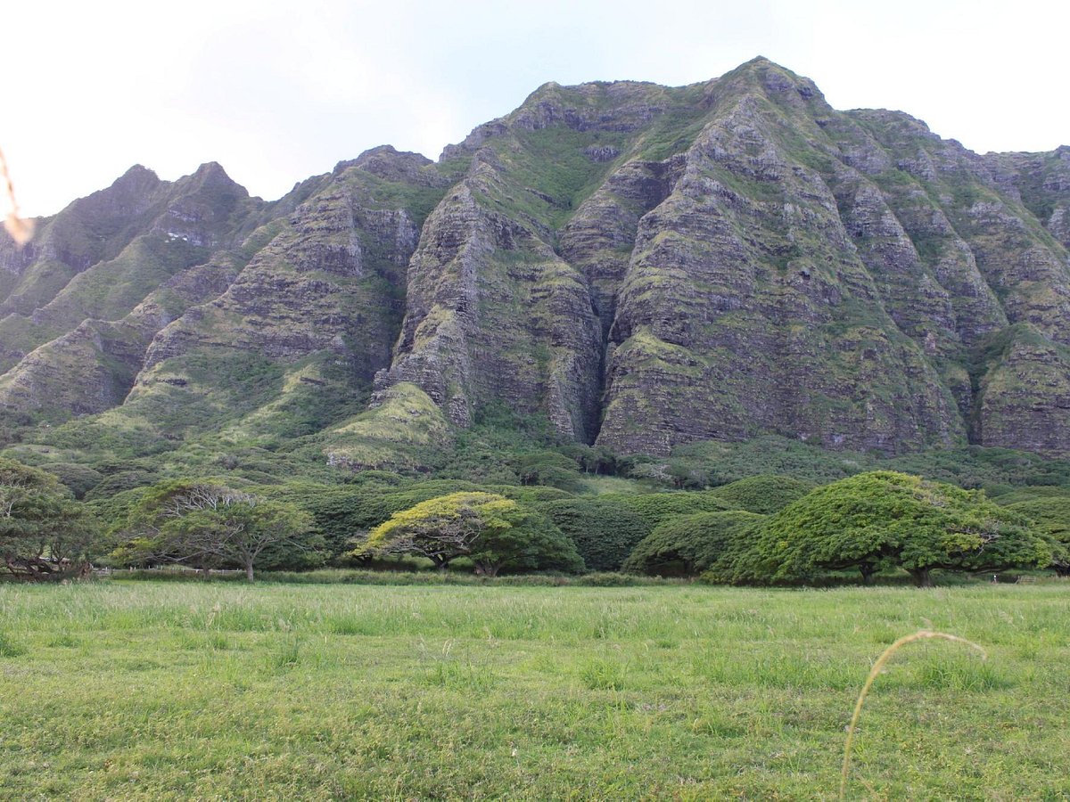 Koa Lani Private Tours (Hawaii Kai) - All You Need to Know BEFORE You Go