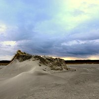 Schiermonnikoog Düne von Globo Hamburg