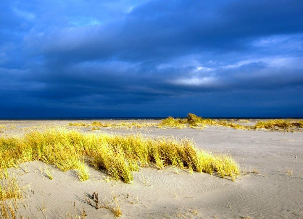 Wisata Dan Liburan 2023 Di Schiermonnikoog, Belanda - Tripadvisor