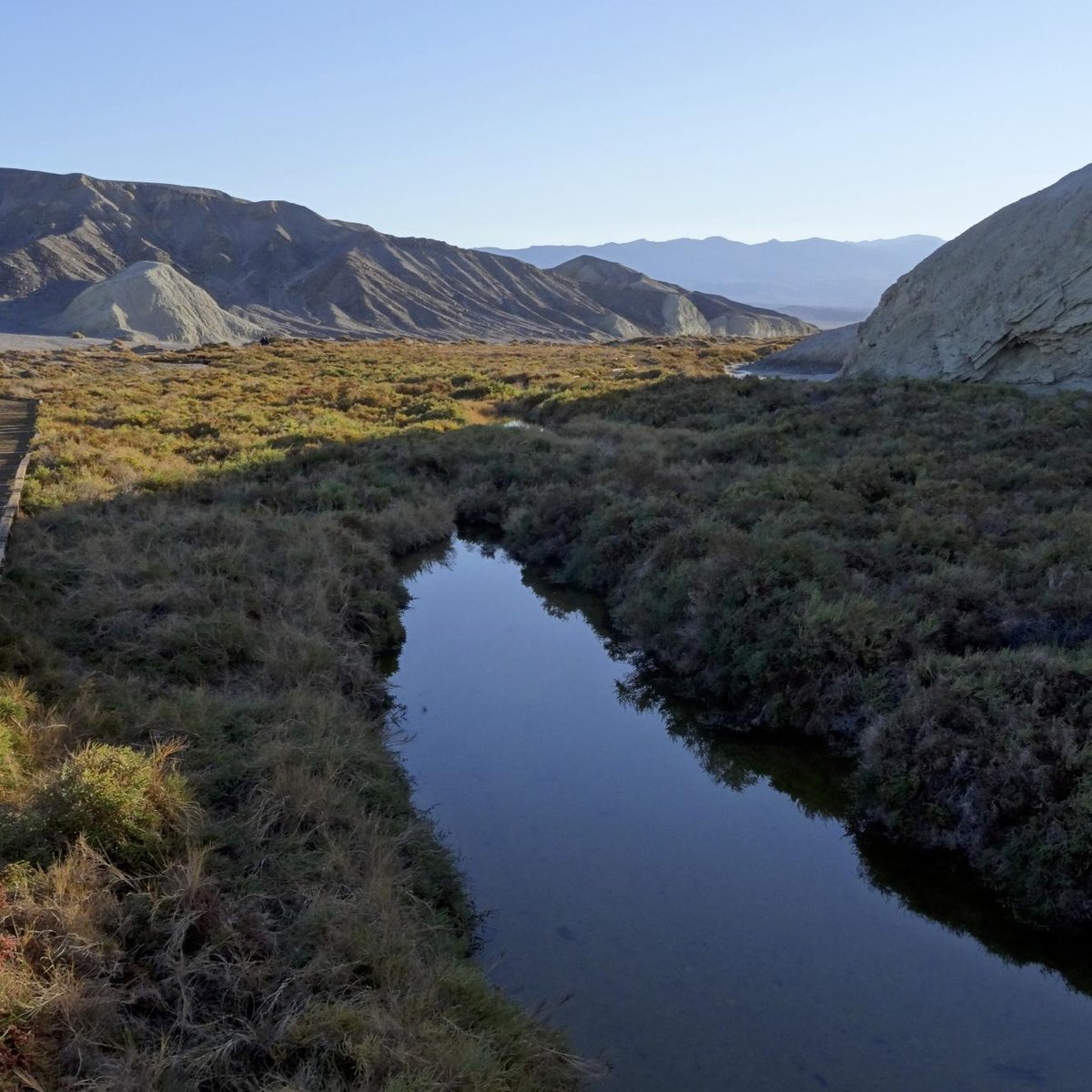 SALT CREEK INTERPRETIVE TRAIL (2024) All You Need to Know BEFORE You Go ...