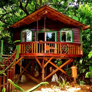 Tree-house