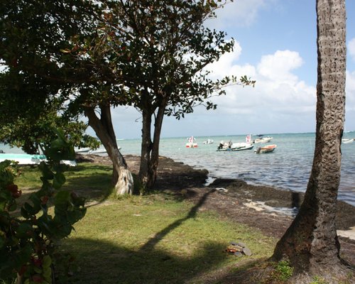 THE 10 BEST Martinique Beaches (Updated 2024) - Tripadvisor