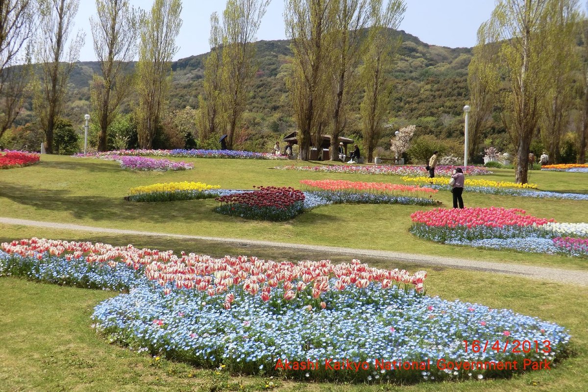 Awajishima Park Awaji Ce Qu Il Faut Savoir Pour Votre Visite 22