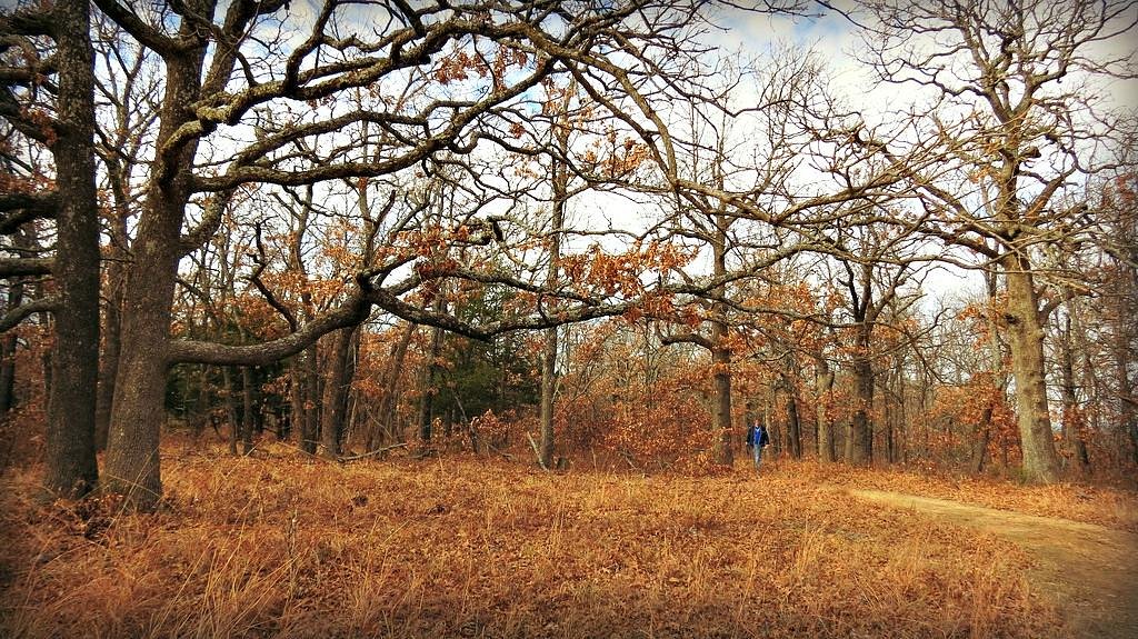 Keystone Ancient Forest (Sand Springs) All You Need to Know BEFORE You Go