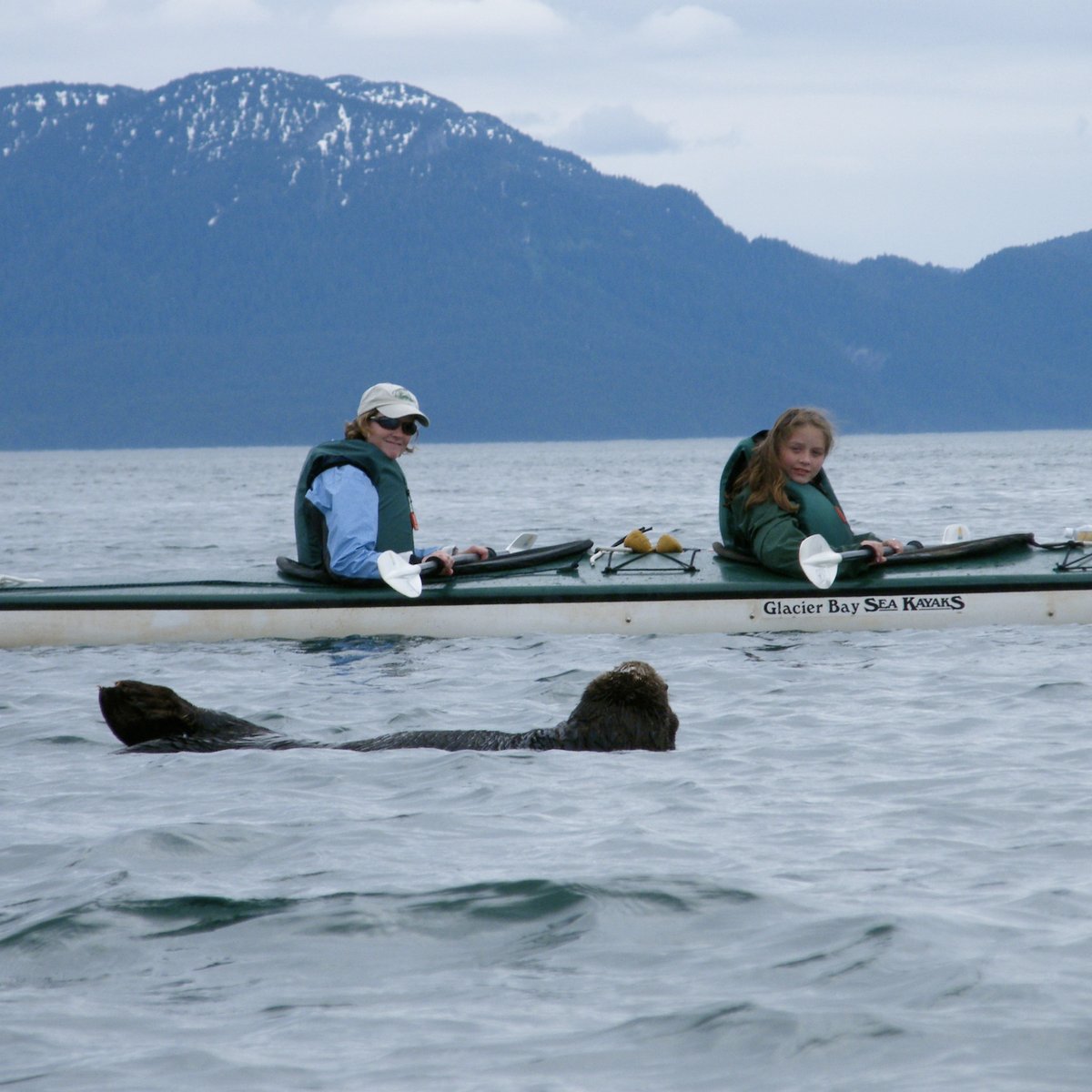 Glacier Bay Sea Kayaks - All You Need to Know BEFORE You Go (2024)