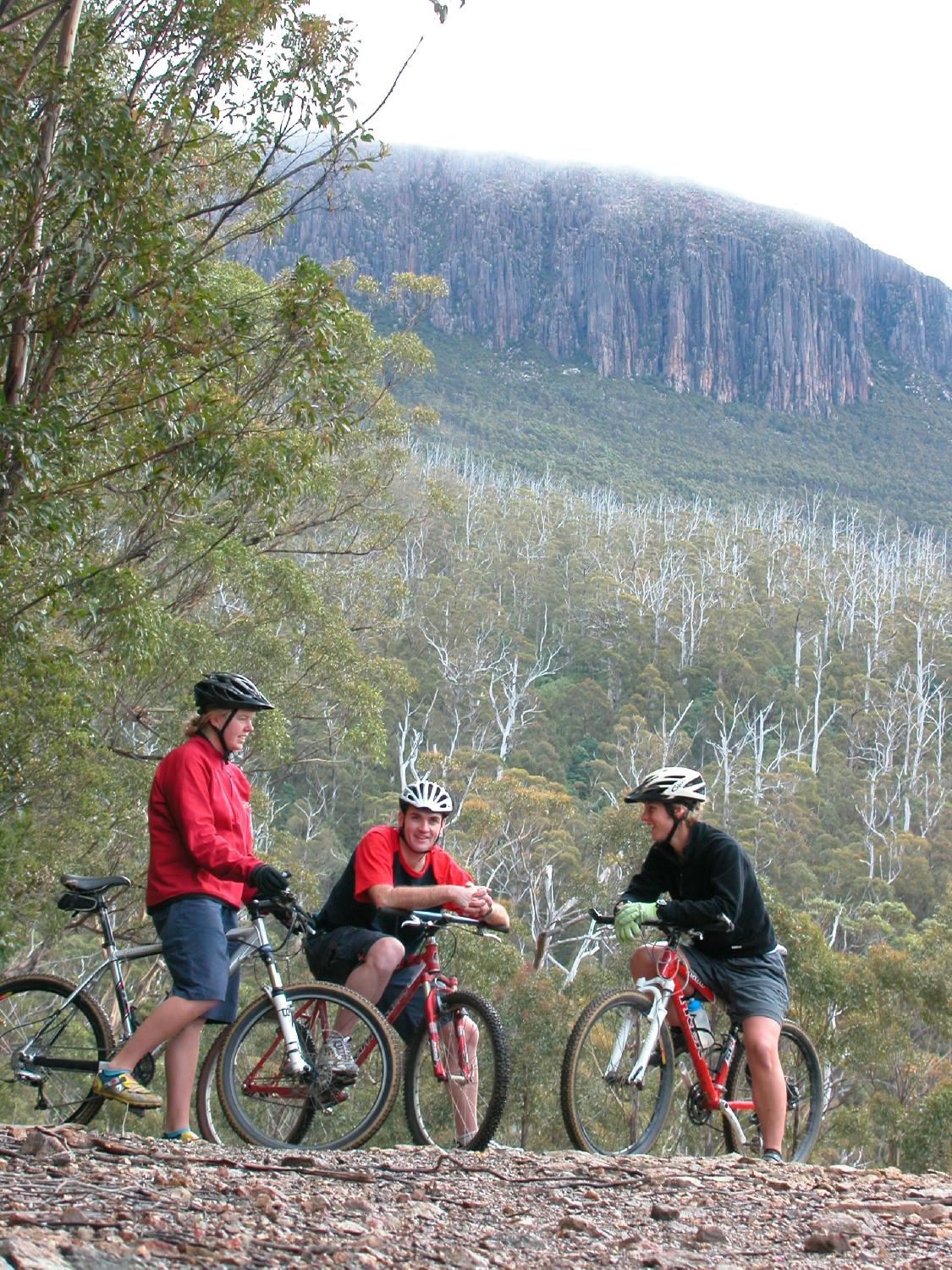 Mt Wellington Descent Bike Ride All You Need to Know BEFORE You