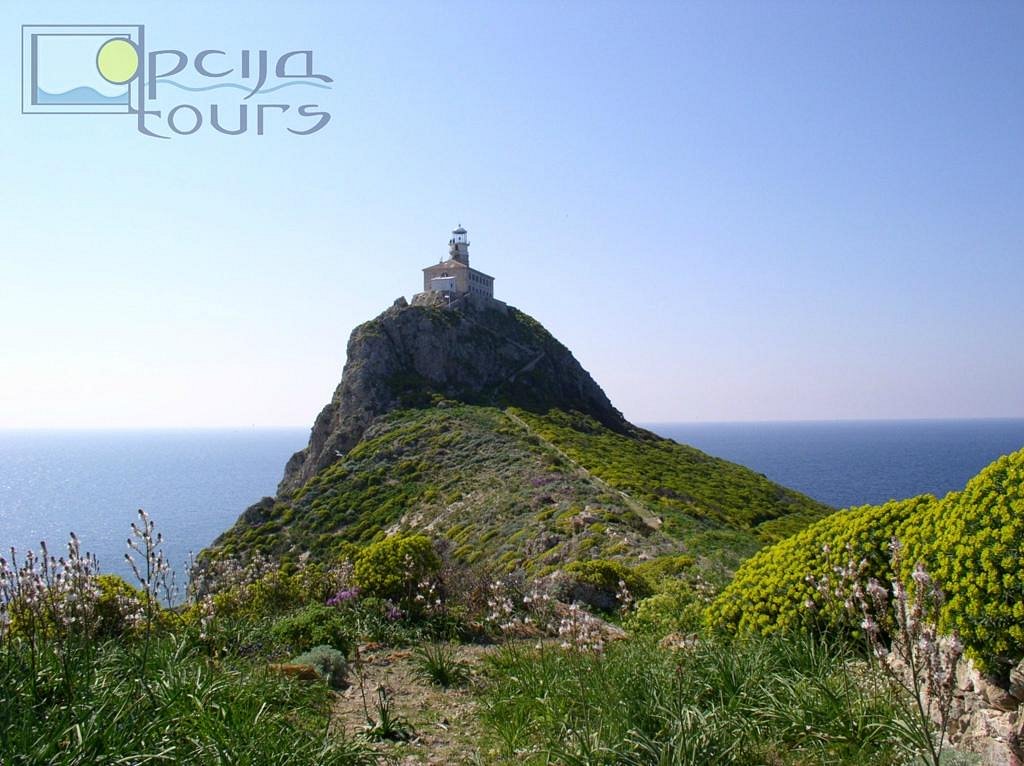 opcija tours