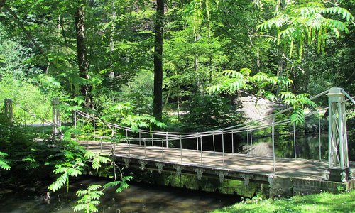 Brug in het park, bijna idyllisch