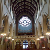 organ