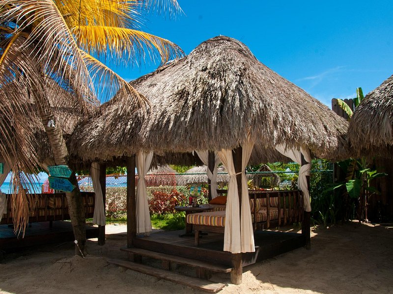 Our Djs will keep you rocking all night! - Picture of Jimmy Buffett's  Margaritaville, Jamaica - Tripadvisor