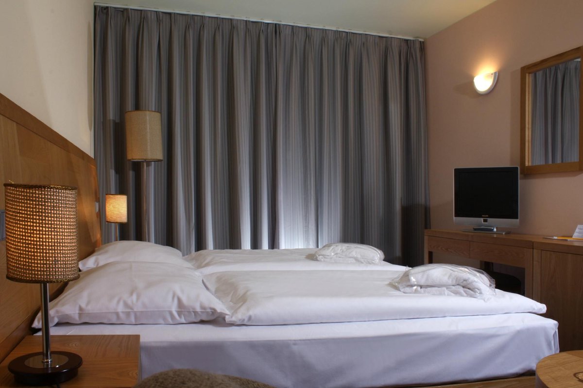 wellness hotel frymburk ceny