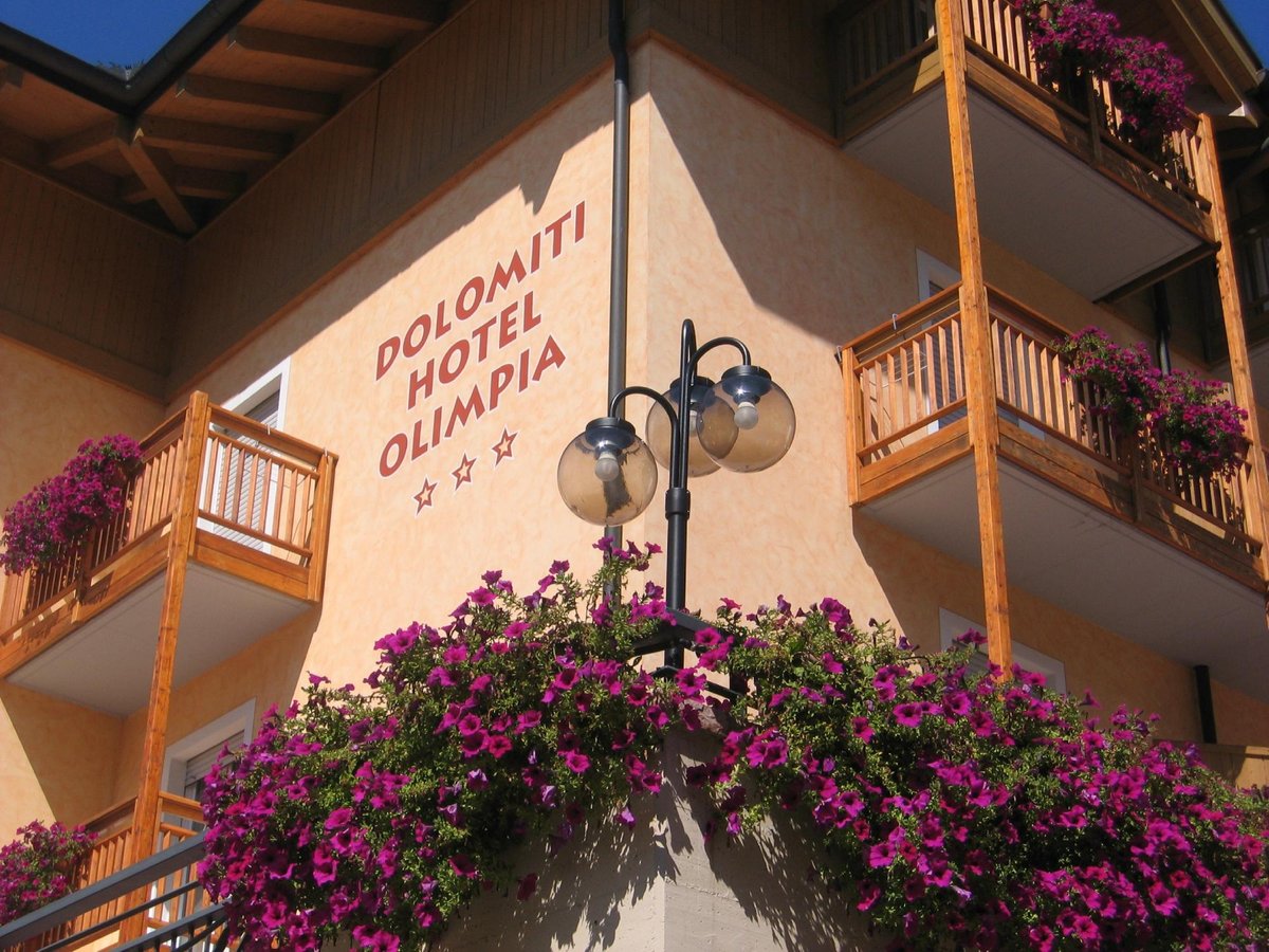 dolomiti hotel olimpia andalo