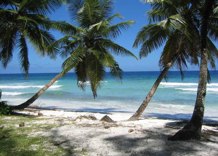 Clear seas