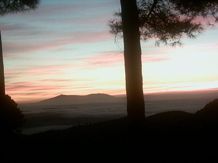 Imagen 16 de Fogon de Gredos