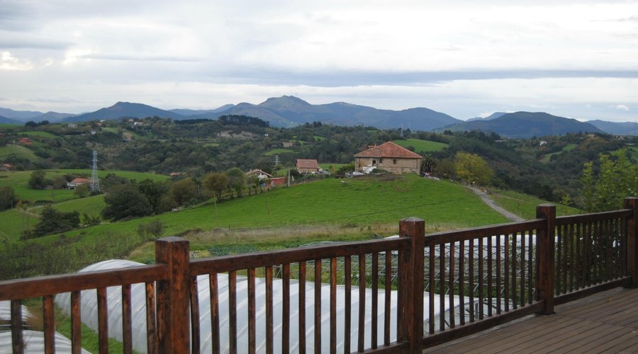 Vista desde la terraza