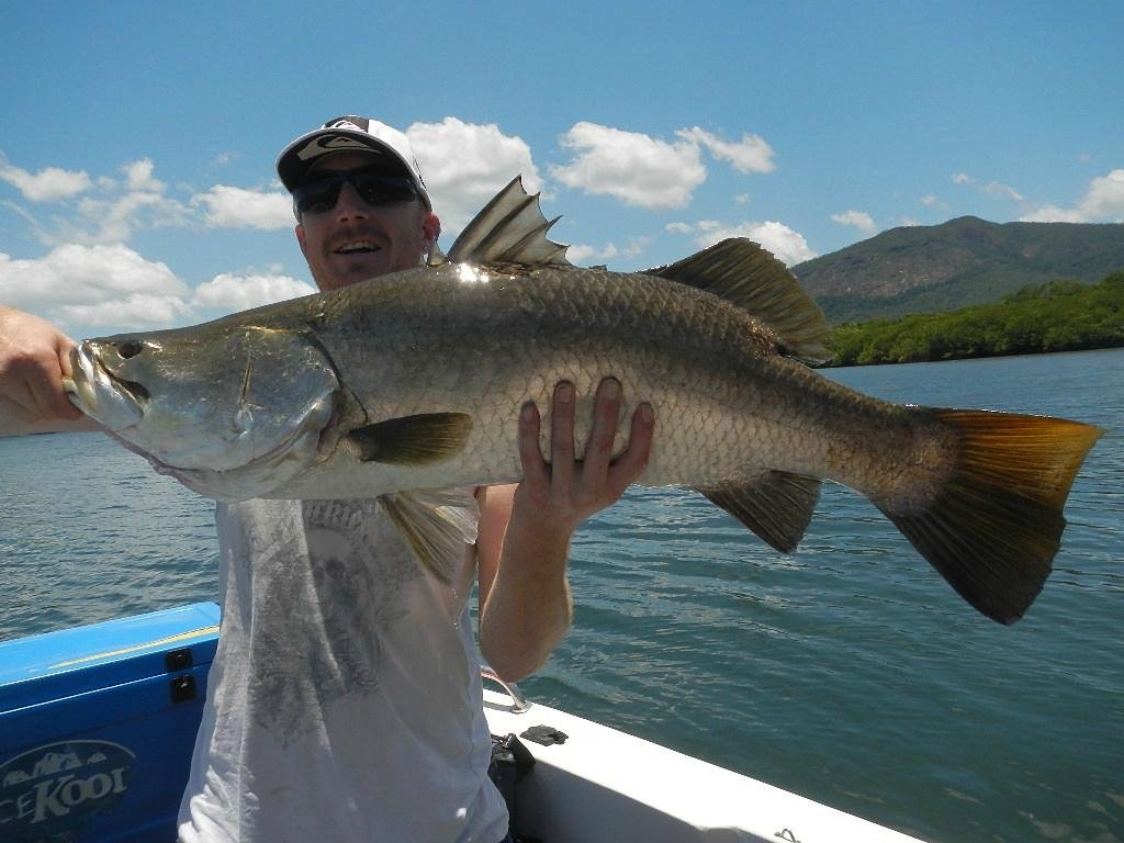 Fishing Charters Townsville Fishing Charters Townsville Yorumları